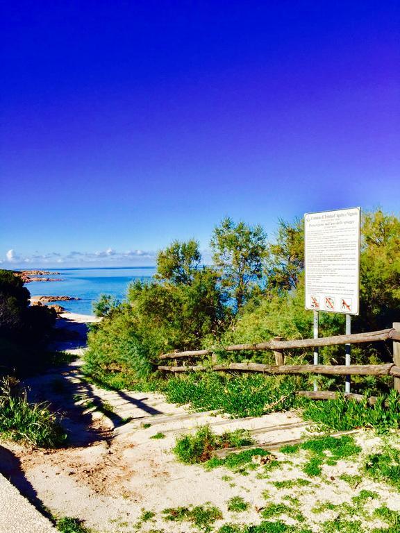 Appartamenti In Villa La Marinedda Isola Rossa Exterior foto